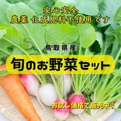 【鳥取県産】⭐︎旬の野菜おまかせセット⭐︎