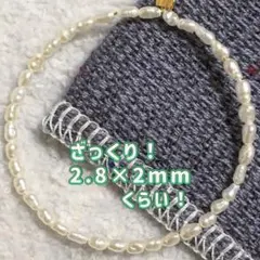 淡水ぱ ラーーー！ちっちゃあーーい！ラーーーーーー！（極小ライス）約10cmぶん