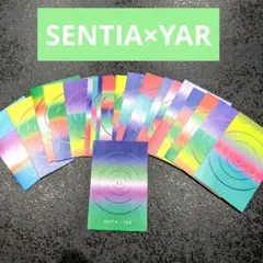 SENTIA×YAR カードセット