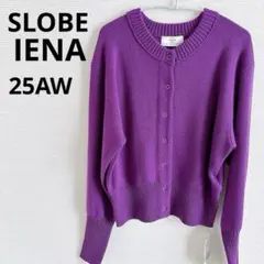 Item thumbnail for item 68daddb9-233e-465d-b240-f64d465b7d69