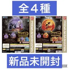 ワンピの実　グランドカプセル　全４種 新品未開封