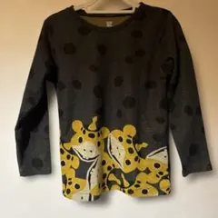 Item thumbnail for item a358312e-93fc-4f53-80dd-9c17f5e8ec90