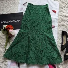 【美品】DOLCE&GABBANA 総レーススカート グリーン ロング 36のサムネイル