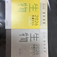 Item thumbnail for item 99dfe8bf-e0c1-4fe2-9f27-afb96eda6544