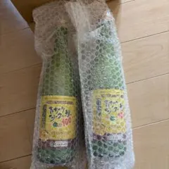 「青切りシークヮーサー100 ザ・プレミアム 2本セット 新品未開封」
