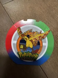 Pokémon ポケパーク カントー ファイヤー ピンバッジ ピンズ ポケモン