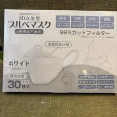 3D立体型フルベマスク ホワイト 30枚入