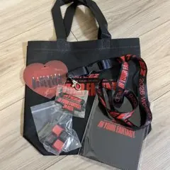 ATEEZ アジアツアー シンガポール Fantasy VIP特典