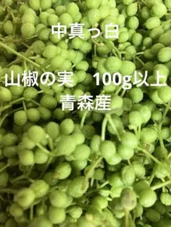 아오모리현에서 갓 수확한 천연 산초 80개
