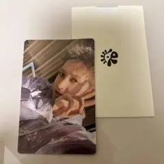 cortis タレントカード