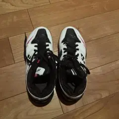 ヨネックスシューズバドミントン