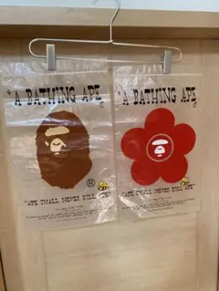 Item thumbnail for item 8e5f41c9-236b-4fa1-b0a3-02bab5bee567