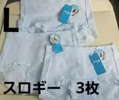 251350 トリンプ　スロギー　フィット　ボーイズレングス　3枚　L