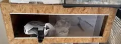 お*ん様 90cm 飼育ケージのサムネイル