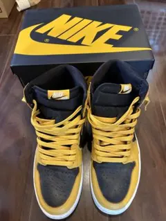 Nike DUNK ナイキ ダンク アテネオリンピック ゴールド ハイ 29cm