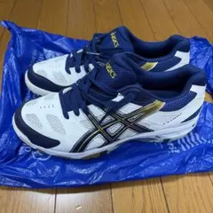 Item thumbnail for item 81d06322-ba0d-47e2-b6c9-82349a737e46