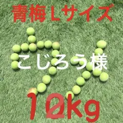 blueharu様検討用】箱込み10kg 青梅 M、Lサイズ中心 - メルカリ