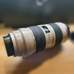 2026年最新】canon ef70 200mm f2 8l usmの人気アイテム - メルカリ