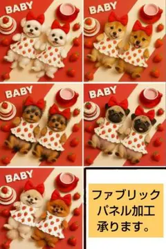 にゃん福屋様パネル　BABYワンコ（マルチーズ・柴・ヨーキー・パグ・ポメ）