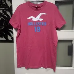 メンズ　Hollister 半袖Tシャツ ピンク 19カモメ　ロゴのサムネイル