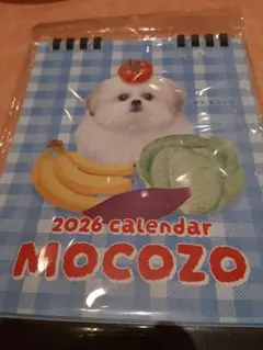 Item thumbnail for item 5fc1dd3b-f375-418f-880c-d1ef25f74866