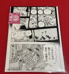 ONE PIECE BASESHOP ALL PAGES ロー パンクハザード編 - メルカリ