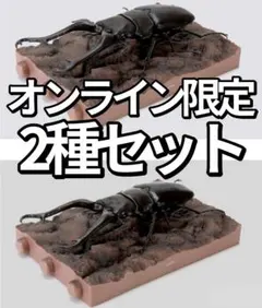 くわがた11 樹皮台座（小）付き ギラファノコギリクワガタ 2種セット