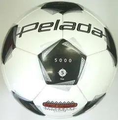 Item thumbnail for item ee744435-d3bb-44e2-b2b5-dc668dad9020