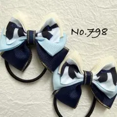 Item thumbnail for item 4a8c35b7-1c59-4844-a2f5-a84ce4953820