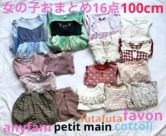 anyfam プティマイン コトリ アナ雪 トップス おまとめ16点 100cm