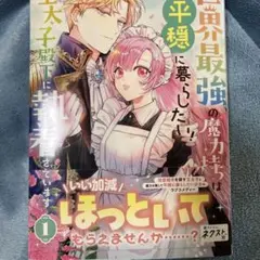 世界最強の魔力持ちは平穏に暮らしたい! 何故か王太子殿下に執着されています 1