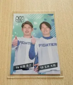 ファイターズいいね！シリーズ トレカ推しペア加藤・玉井