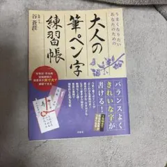 大人の筆ペン字練習帳 谷蒼涯 監修のサムネイル