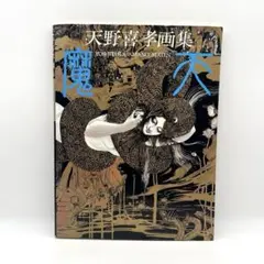 天野喜孝画集 魔天 1984年初版 朝日ソノラマ 大判画集