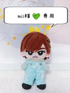 mii様専用☆彡すのチルぬいカツラ