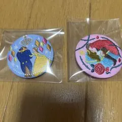 ディズニー刺繍缶バッジ　美女と野獣　眠れる森の美女　ベル　オーロラ姫　匿名配送