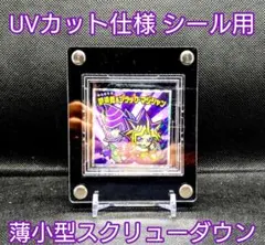 アクリルフレーム 黒【シール用・UVカット仕様 薄小型スクリューダウン】
