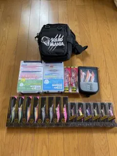 エギセット スクイッドマニア ワイルドチェイスヤマシタ エギ王ライブ