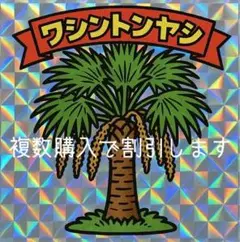 2025年最新】ワシントンヤシの人気アイテム - メルカリ