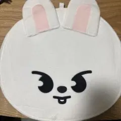 StrayKids Leebit リノ うちわカバー うちわケース - メルカリ