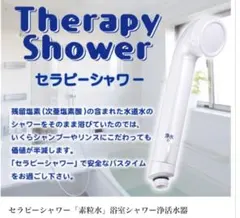 Therapy Shower 浴室シャワー浄水器 カートリッジなしです - メルカリ