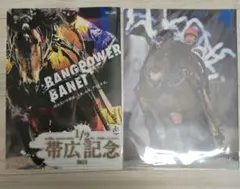 ばんえい競馬　帯広記念 、メムロボブサップクリアファイル セット