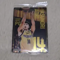 Item thumbnail for item 46e9e46f-56ee-4007-a89a-8d3c478bb8f3