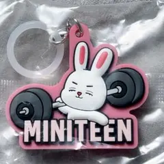 ミニティーン　めじるし　エスクプス