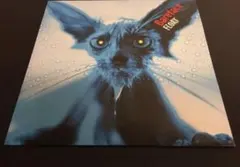 【7inch】BAREFACE / FLOAT