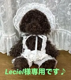 Lecielです♪ トイプードルちゃん（焦茶）お洋服とお帽子4セット Leciel様専用です♪ トイプードルちゃん（焦茶）お洋服とお帽子4セット