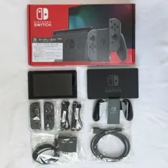 Nintendo Switch グレー 本体（付属品全て有）