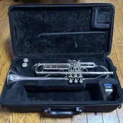 Item thumbnail for item 019c6067-3cc0-48c8-ab91-d8ea28c70883