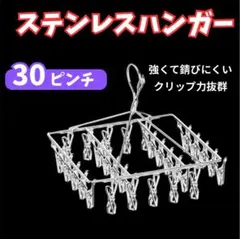 ピンチハンガー 30ピンチ ハンガー ステンレス 洗濯グッズ