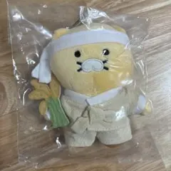 カカオフレンズ 朝鮮美女　チュンシク